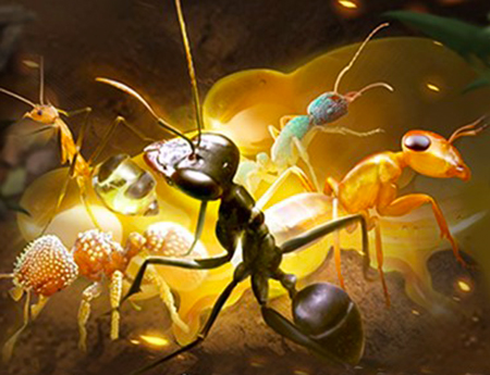 The Ants пробуждение спец муравьев. Сколько нужно белка? Таблица Белок.